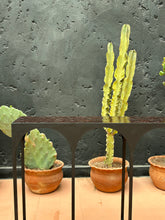 Load image into Gallery viewer, Console en Zellige Taormina